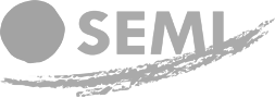 Società spagnola di medicina interna (SEMI)